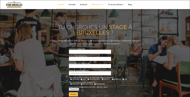 Capture d'écran du site internet stagebruxelles.be